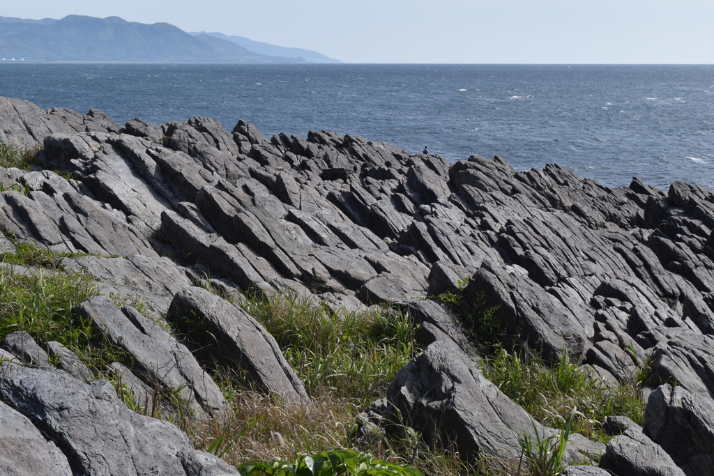 雄島の板状節理
