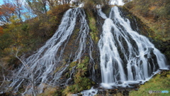 晩秋のオシンコシンの滝
