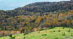 パッチワークな季節