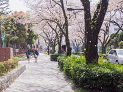 春の証を追いかけて