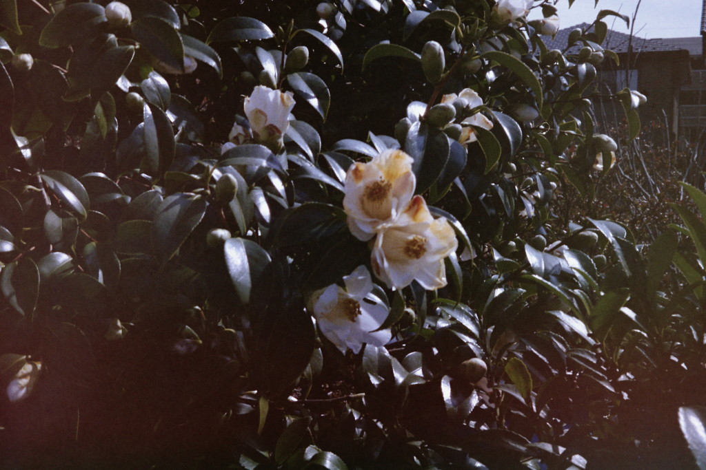 PICT0030