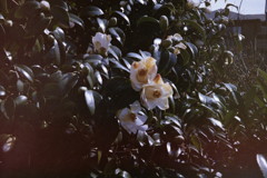PICT0030