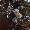 PICT0030