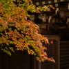 美は細部に宿る。