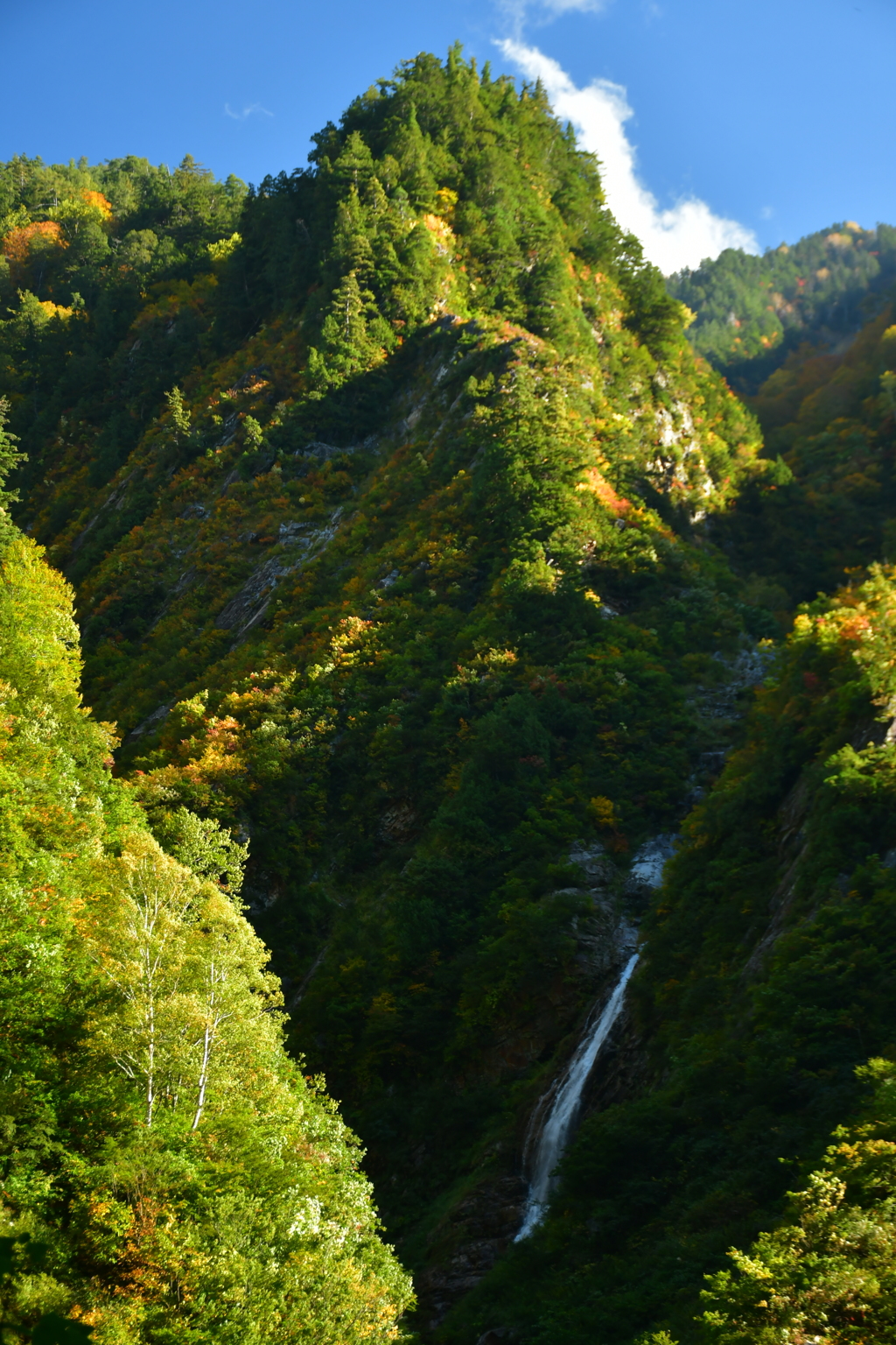 滝の在る景色。