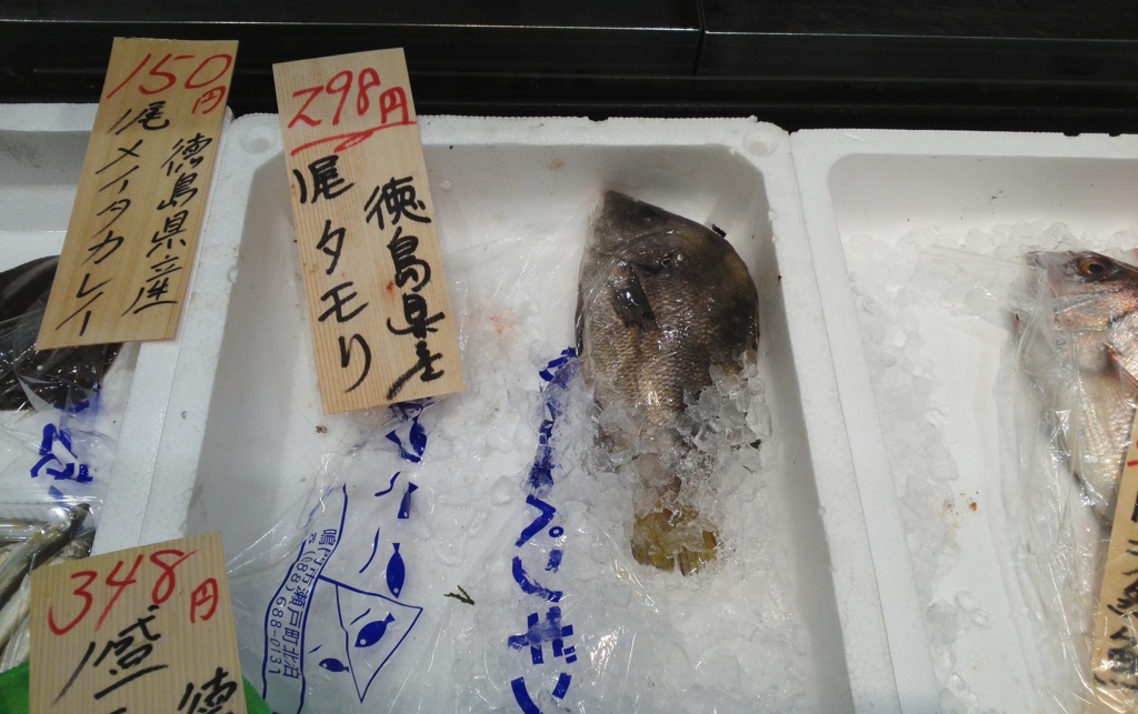 タモリに遭遇！？