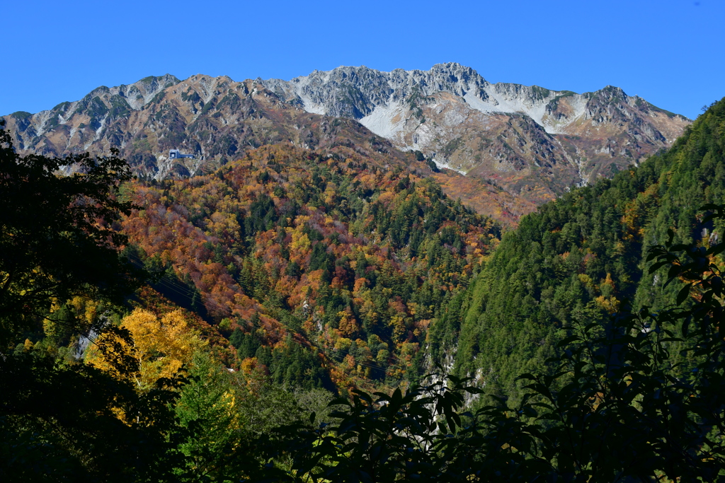 立山の秋。
