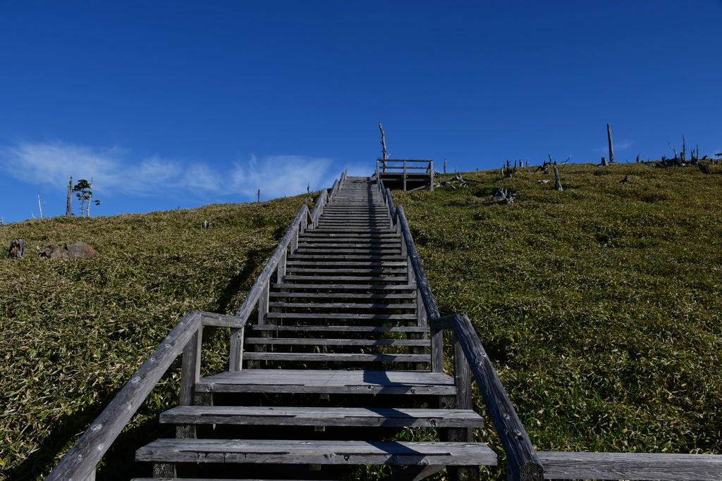 今日の朝の景色。