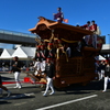 欅の神。
