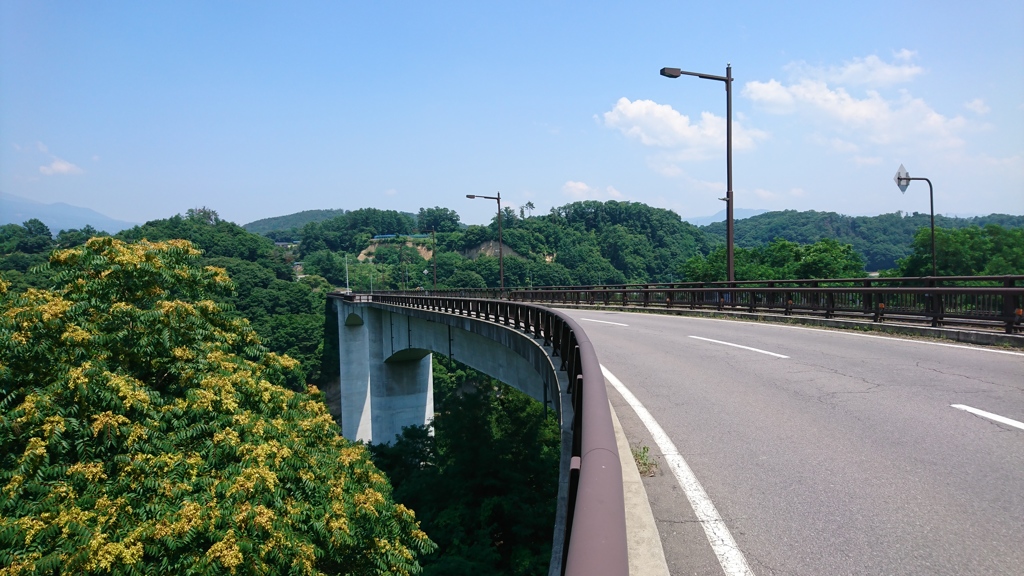 何故か通る橋。