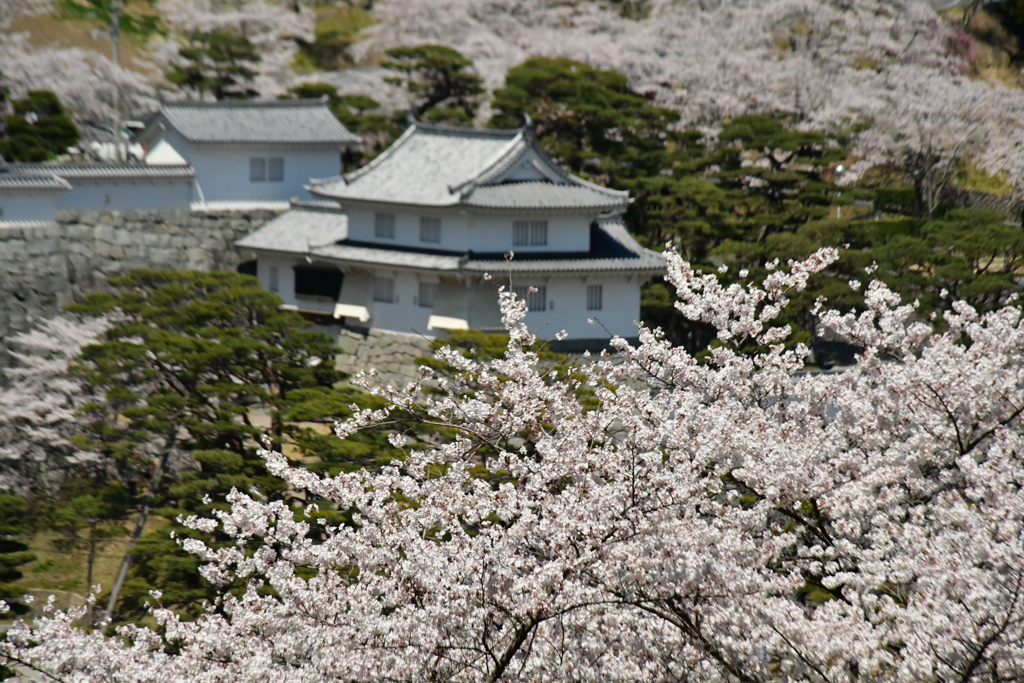 霞ヶ城。