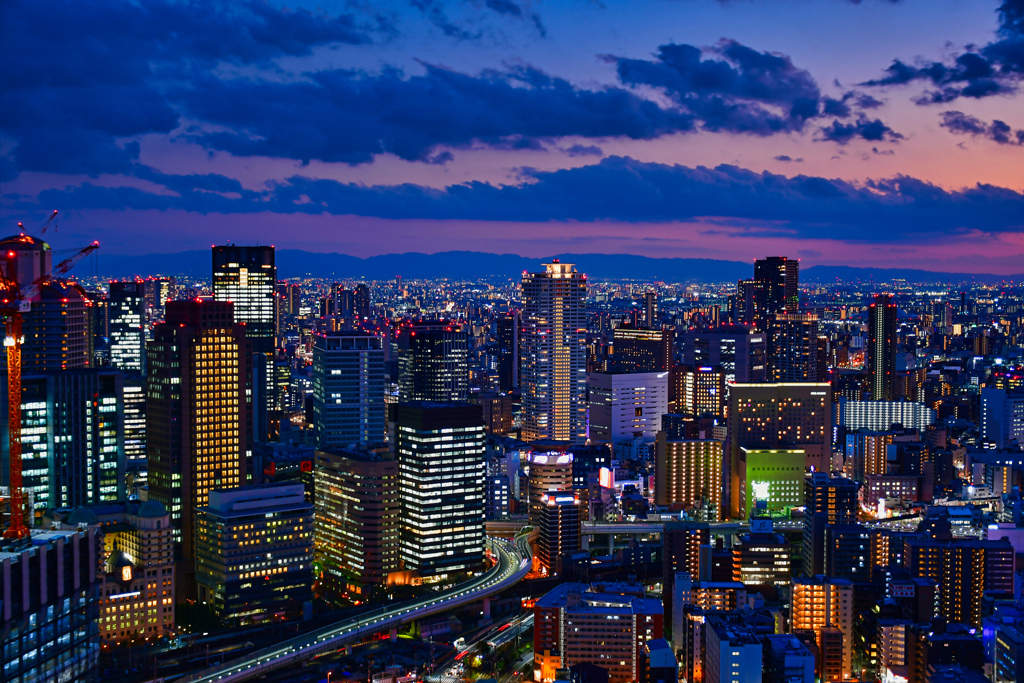 今日の大阪。