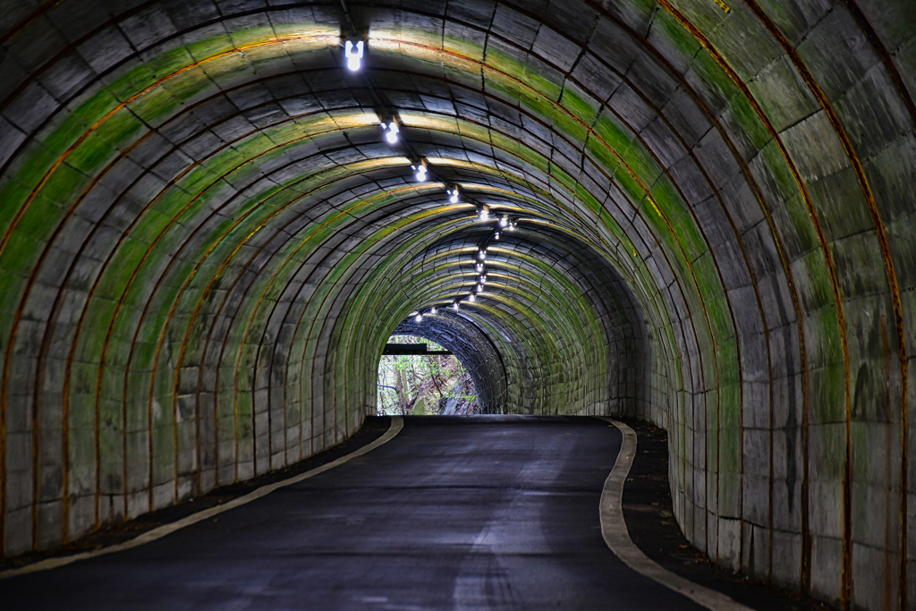 隧道散歩。