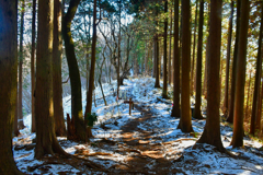 高尾山への道。