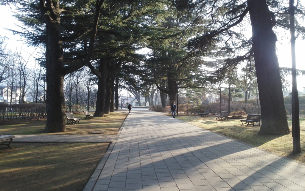 旧制松本高等学校。