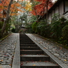 参道。