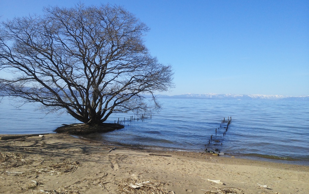 冬の琵琶湖。