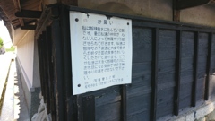 鯉からの手紙。