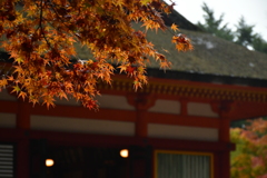 或る紅葉の眺め。