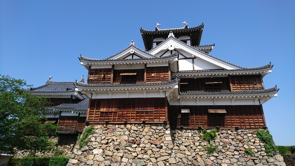 明智光秀が夢。