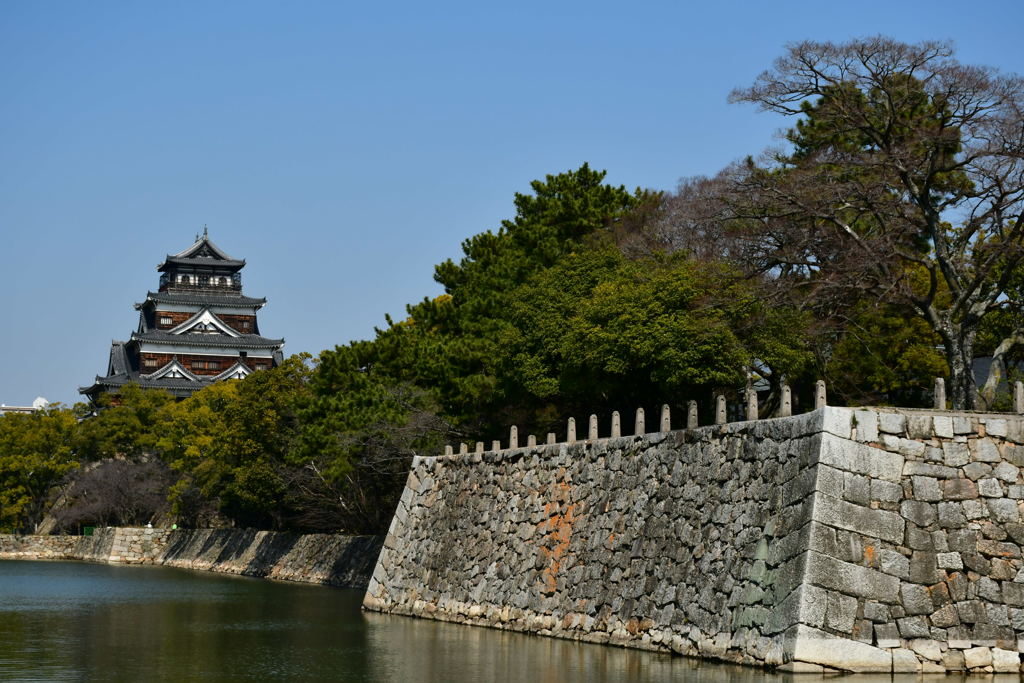 鯉城。