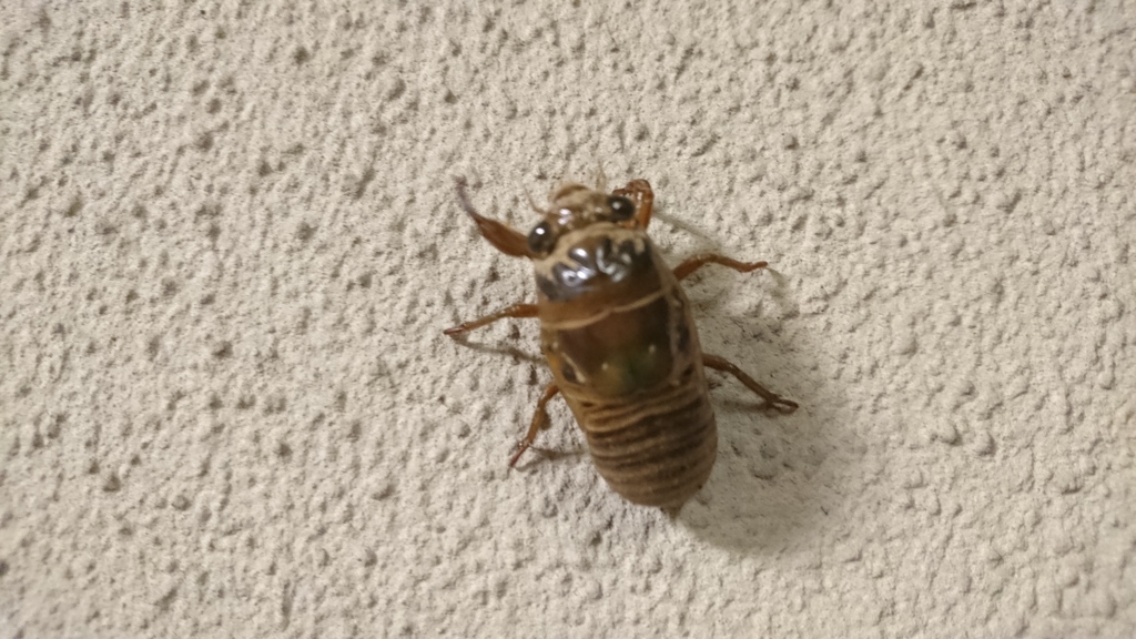 今日もまた。