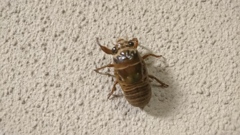 今日もまた。