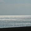 海を観ていた午後。