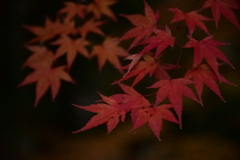 秋色。