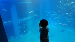 子供の世界。