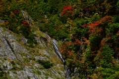 秋の黒部峡谷。
