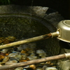 手水の趣。