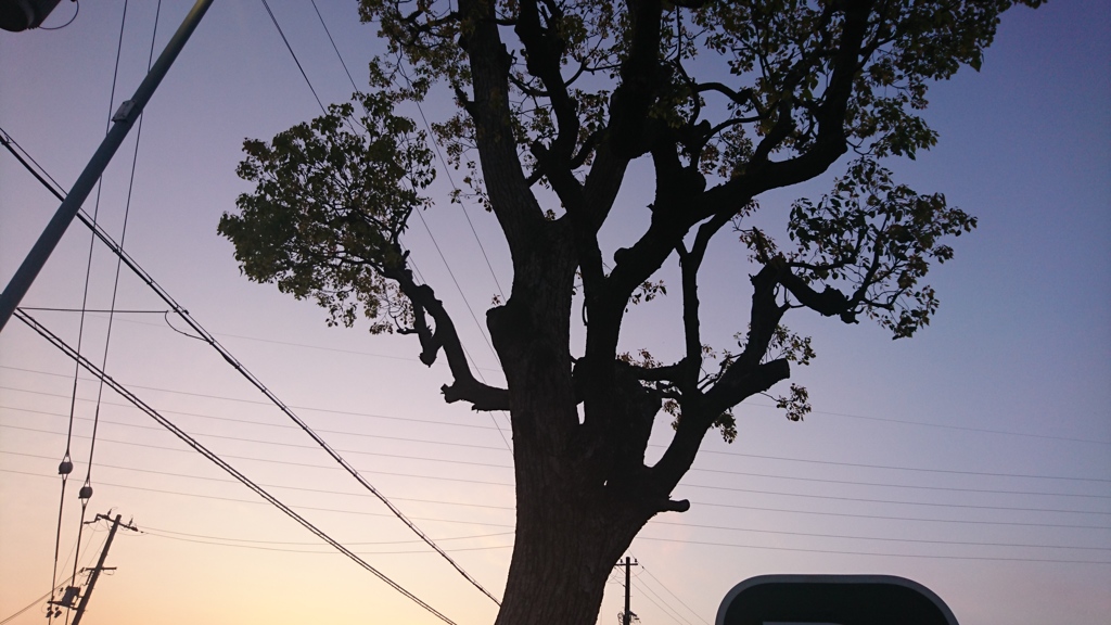 西の空。