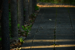 貴人の墓。