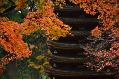彩の刻。