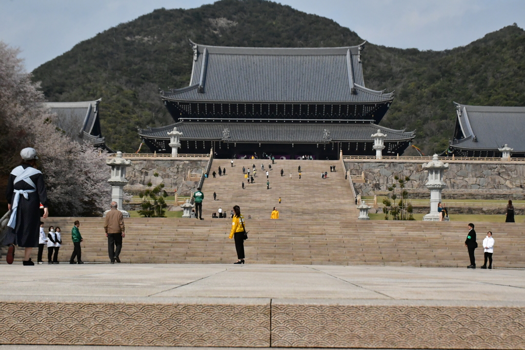 紫禁城。