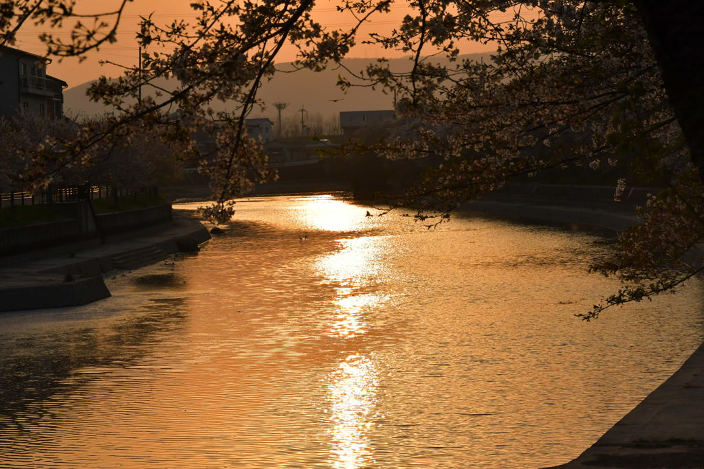 一口の夕日。