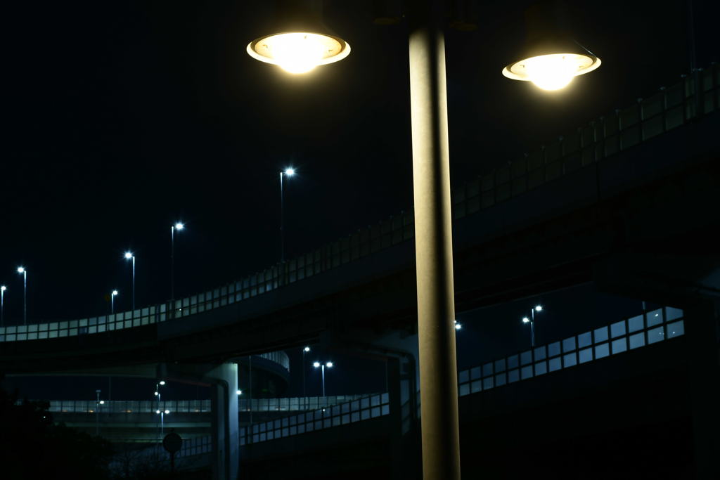 墓場より。