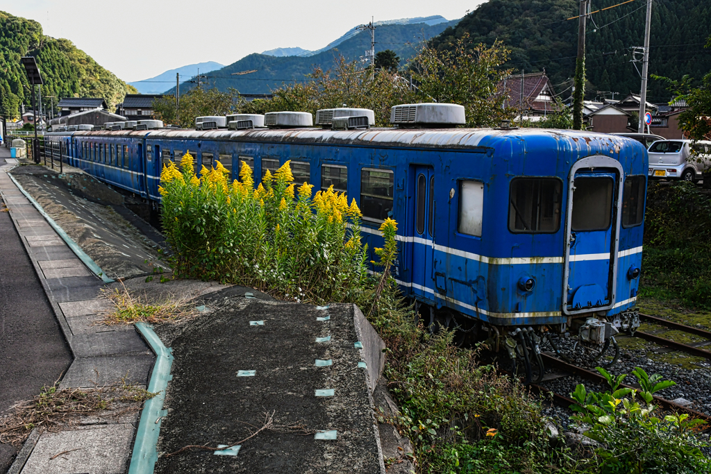 碧い電車。