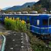碧い電車。