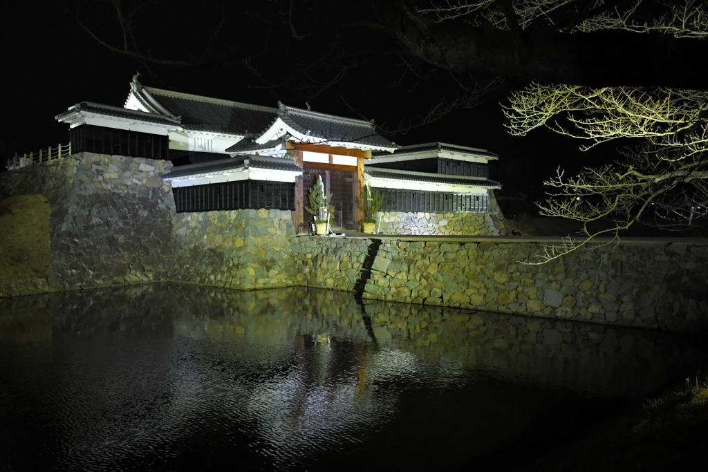 国宝の新年。