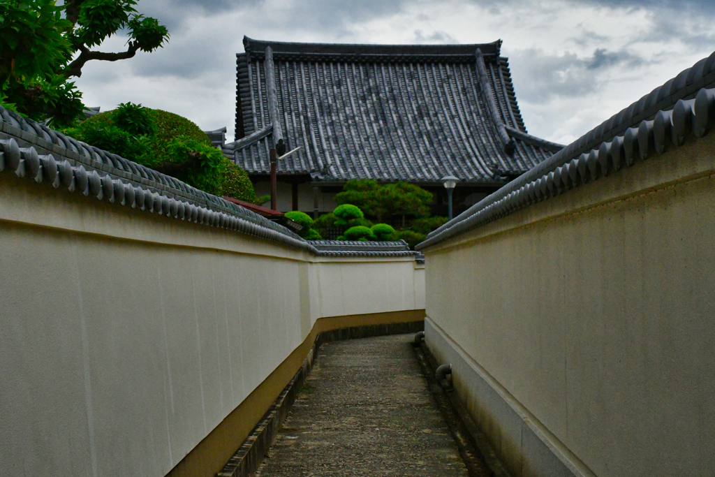 岸和田浪漫。
