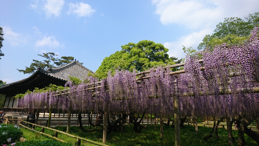 藤原家の標。