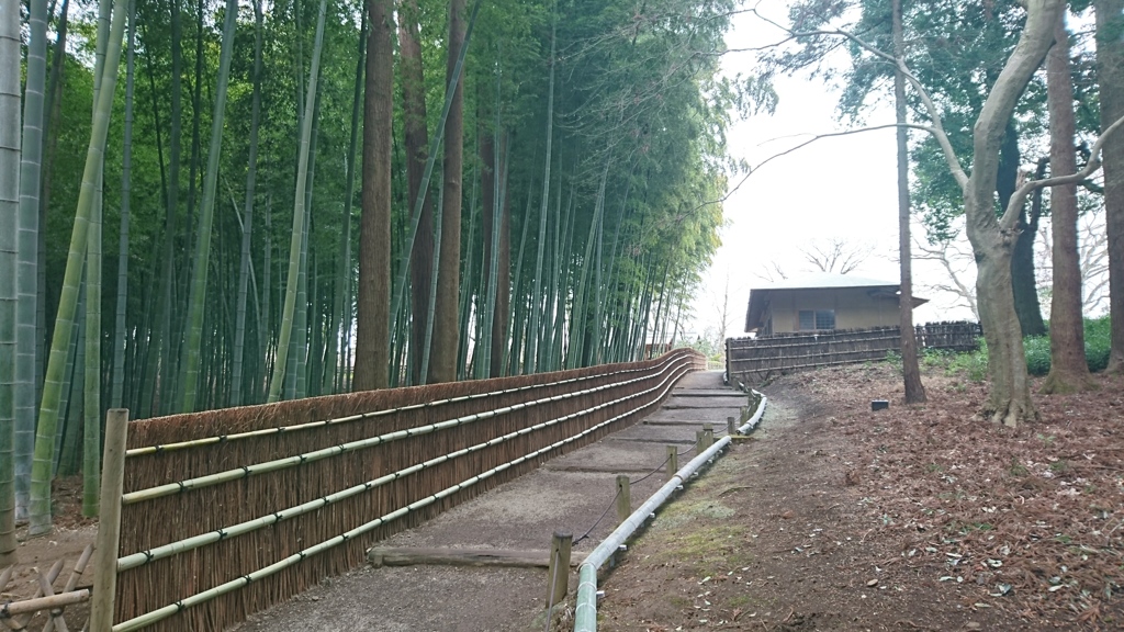 日本三名園の偕楽園。