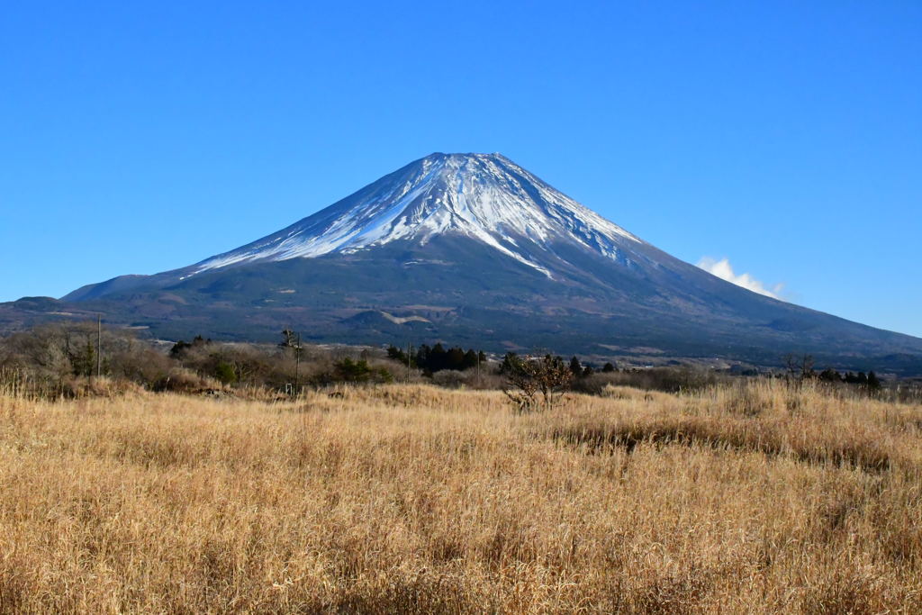 朝霧の富士。