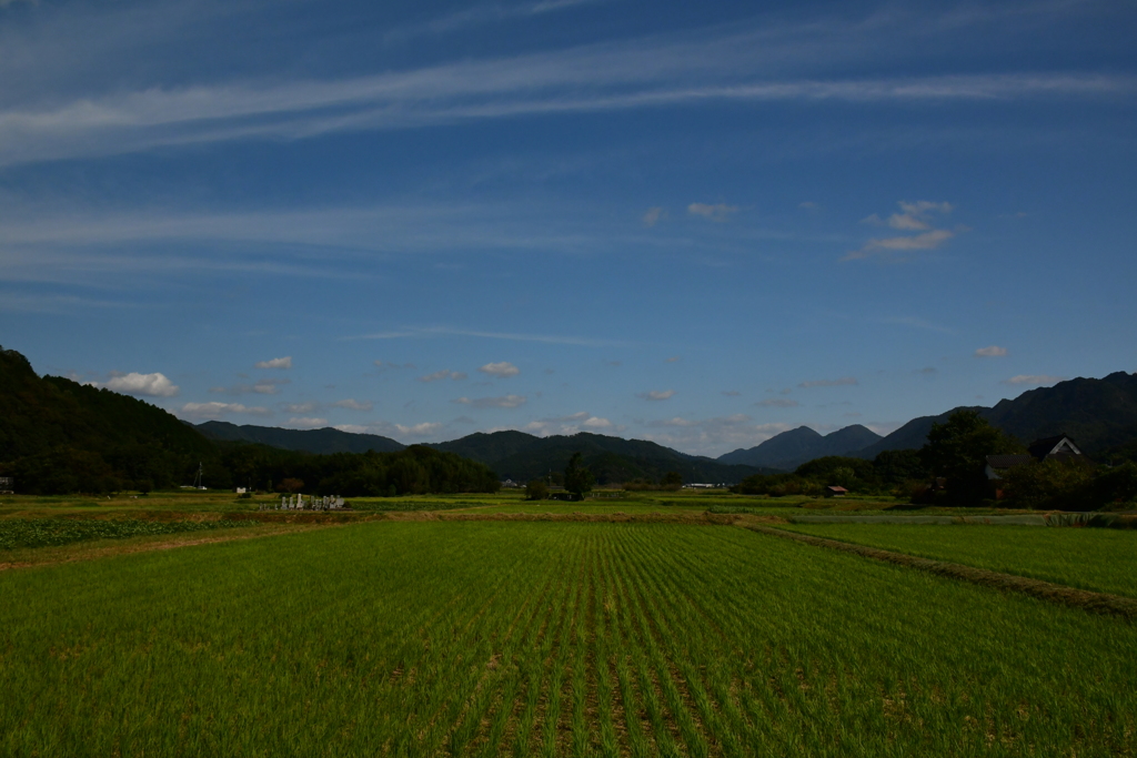 日本の原的風景。