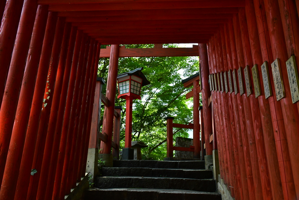 朱の鳥居。