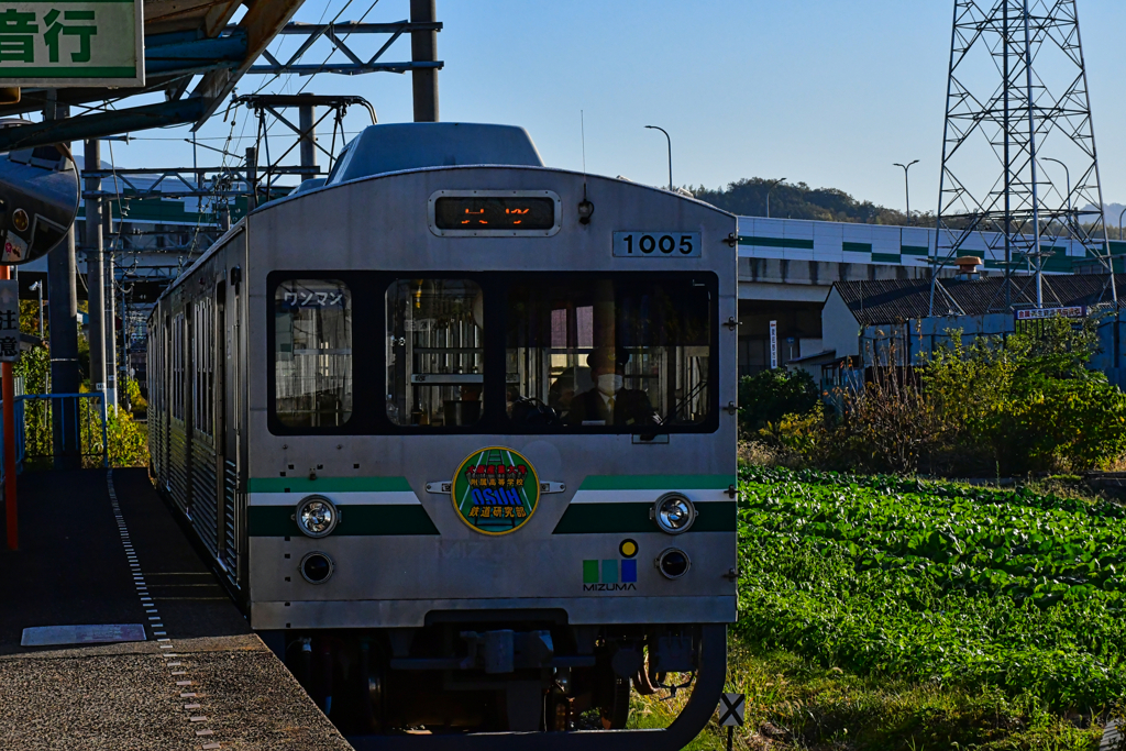 日向ぼっこ。