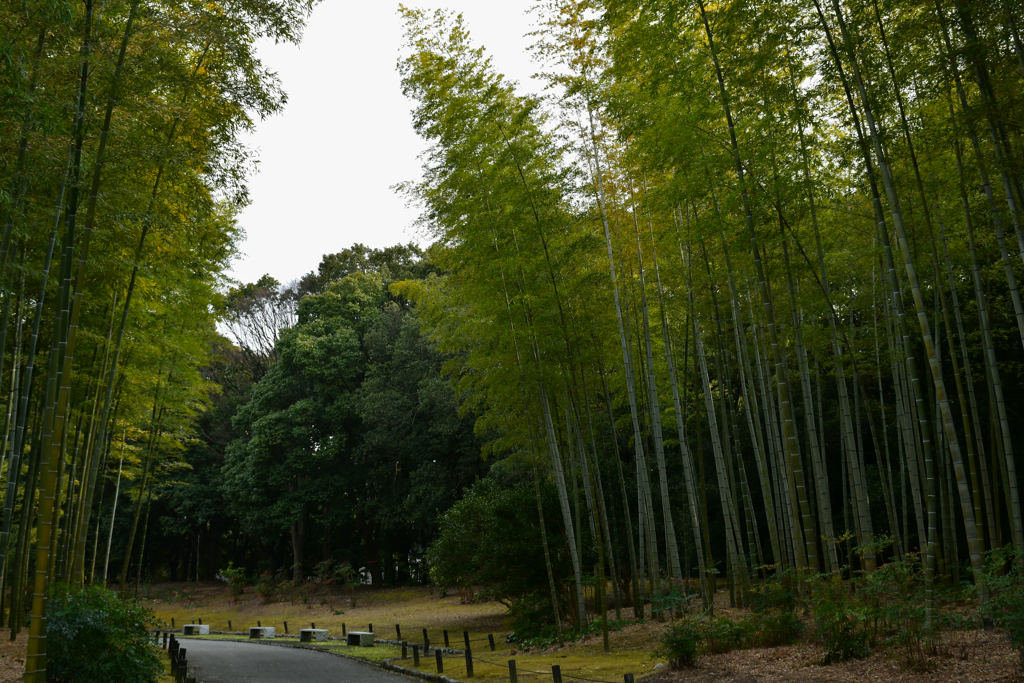 日本庭園散策記。