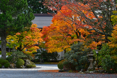 高野山旅満喫記。